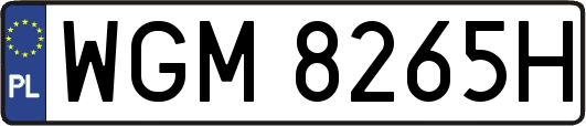 WGM8265H