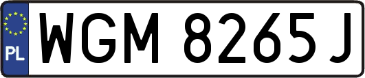 WGM8265J