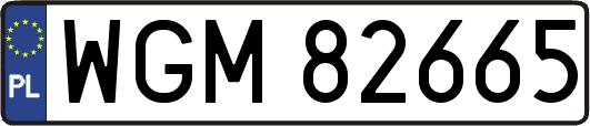 WGM82665