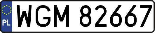 WGM82667