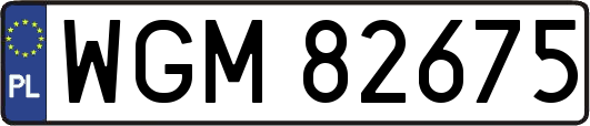 WGM82675