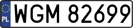 WGM82699