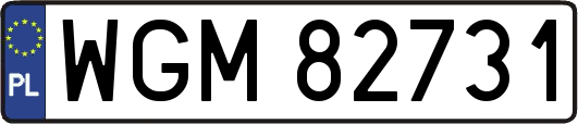 WGM82731