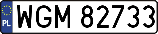 WGM82733