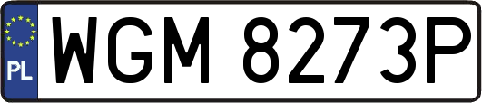 WGM8273P