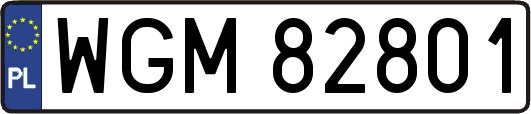 WGM82801