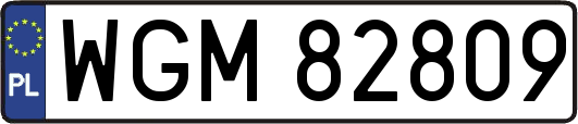 WGM82809