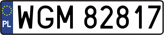 WGM82817