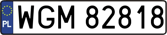 WGM82818