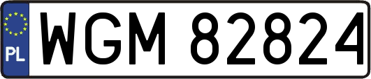 WGM82824