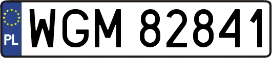 WGM82841