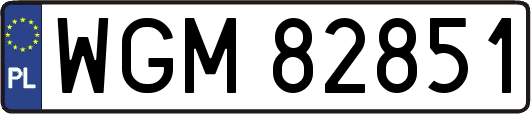WGM82851