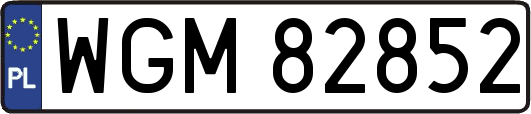 WGM82852