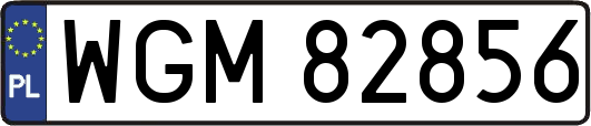 WGM82856