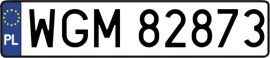 WGM82873