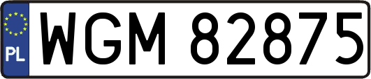 WGM82875
