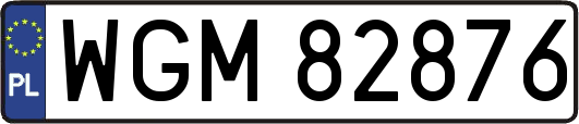 WGM82876
