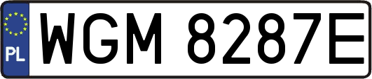 WGM8287E