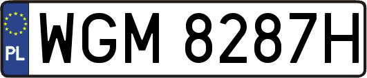 WGM8287H