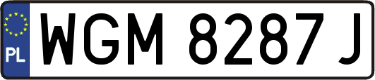 WGM8287J