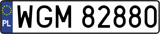 WGM82880