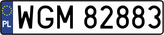 WGM82883