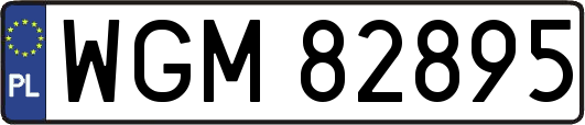 WGM82895