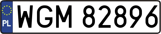 WGM82896