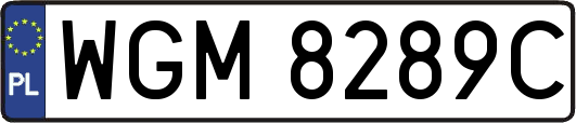 WGM8289C