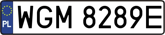 WGM8289E