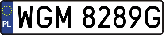 WGM8289G