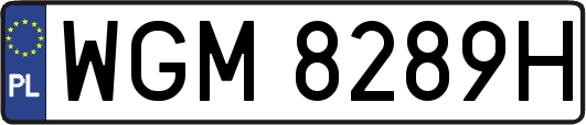 WGM8289H