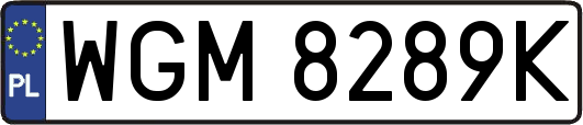 WGM8289K