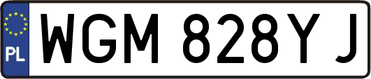 WGM828YJ
