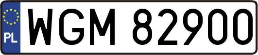 WGM82900