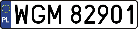 WGM82901