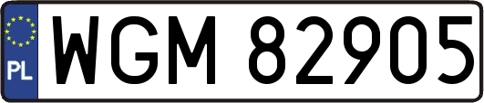 WGM82905