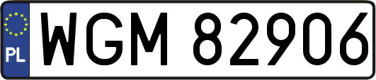 WGM82906