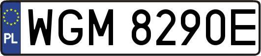 WGM8290E