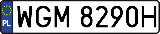 WGM8290H