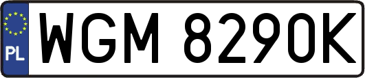 WGM8290K