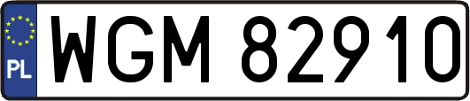 WGM82910