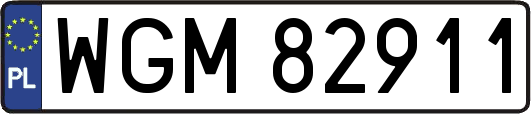 WGM82911