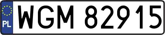 WGM82915