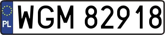 WGM82918