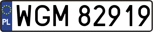 WGM82919