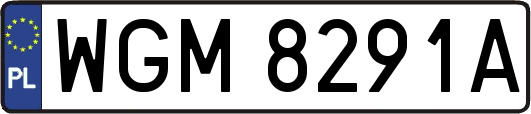WGM8291A