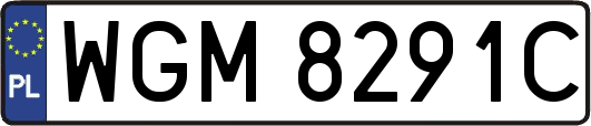 WGM8291C