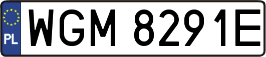 WGM8291E