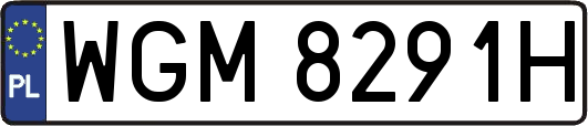 WGM8291H